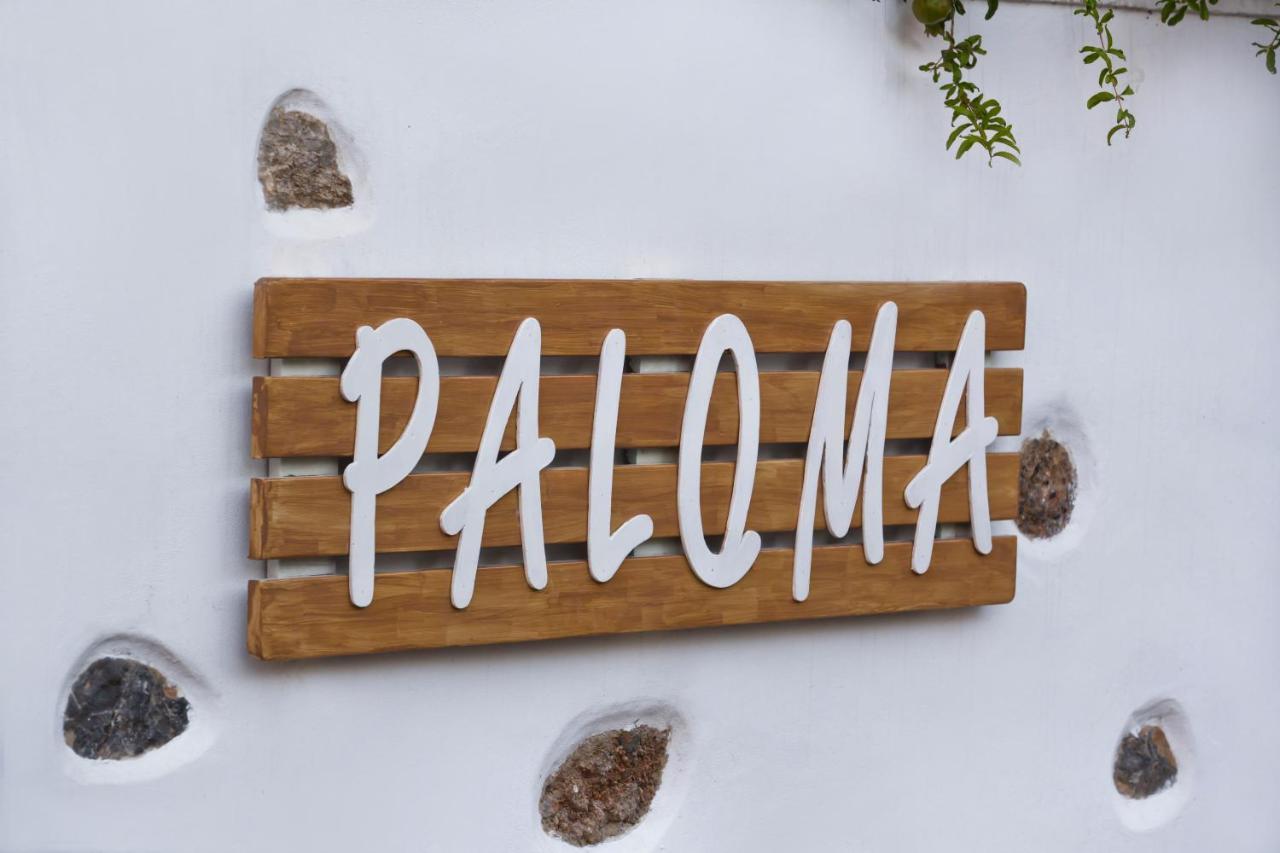 Paloma Luxury Studios Panormos  エクステリア 写真